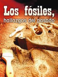 Los fosiles, hallazgos del pasado