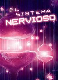 El sistema nervioso