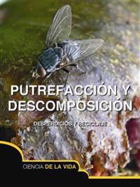Putrefaccion y descomposicion