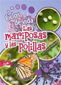 Ciclos de vida de las mariposas y las polillas