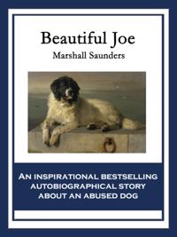 Beautiful Joe