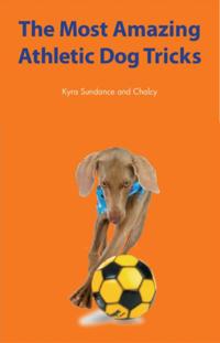 Dog Tricks and Training