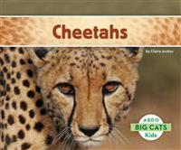 Archer, C: Cheetahs
