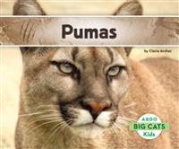 Archer, C: Pumas