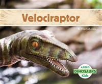 Lennie, C: Velociraptor