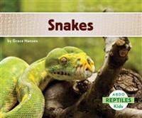Hansen, G: Snakes