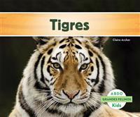 Archer, C: Tigres (Tigers)