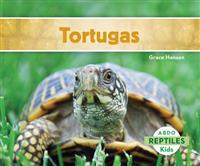 Tortugas (Turtles)
