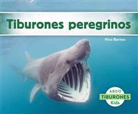 Tiburones Peregrinos (Basking Sharks)