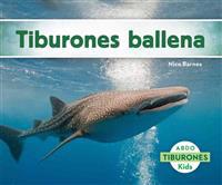 Tiburones Ballena (Whale Sharks)