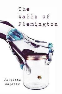 The Walls of Flemington