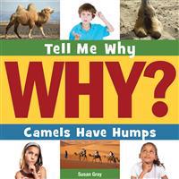 Camels Have Humps