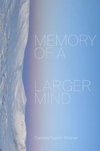 Memory of a Larger Mind