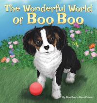 Bokomslag för "The Wonderful World Of Boo Boo"