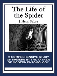 Life of the Spider