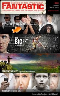 Fantastic Stories of the Imagination