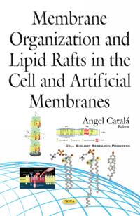 Membrane OrganizationLipid Rafts in the CellArtificial Membranes