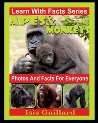 Apes and Monkeys Photos and Facts for Everyone