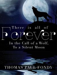 Bokomslag for "There Is All of Forever"