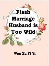 Flash Marriage: Husband is Too Wild