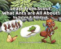 Learn from Scout What Ants are All About!