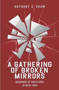A Gathering of Broken Mirrors