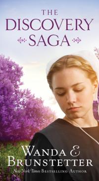 The Discovery - A Lancaster County Saga