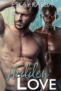 Hidden Love Series