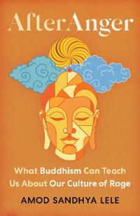 After Anger: What Buddhism Can Teach Us about Our Culture of Rage