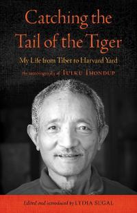 Catching the Tail of the Tiger