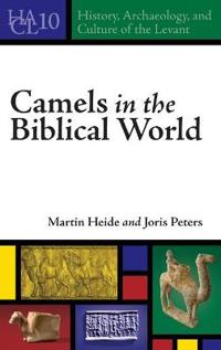 Camels in the Biblical World