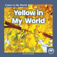 Bokomslag för "Yellow in My World"