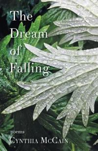 The Dream of Falling