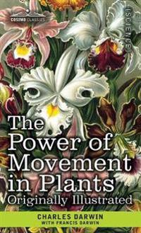 Bokomslag för "The Power of Movement in Plants"