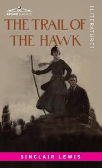 Bokomslag for "The Trail of the Hawk"