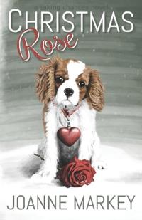 Christmas Rose