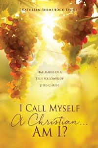 I Call Myself A Christian...Am I?