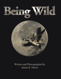 Being Wild