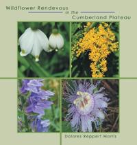 Bokomslag för "Wildflower Rendevous in the Cumberland Plateau"