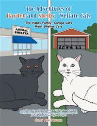 The Adventures of Hayden and Shelby, 'Welfare Cats