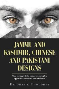 Jammu and Kashmir, Chinese and Pakistani Designs
