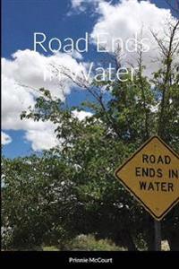 Road Ends in Water