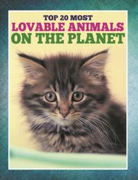 Books For Kids Series