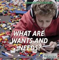 What Are Wants and Needs?
