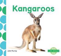 Kangaroos