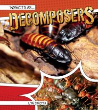 Insects As...
