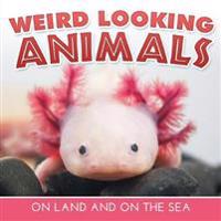 Weird Looking Animals On Land and On The Sea