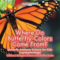 Where Do Butterfly Colors Come From? - Butterfly Anatomy Science for Kids (Lepidopterology) - Children's Biological Science of Butterflies Books