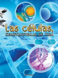 STEM Spanish Titles