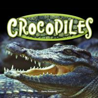 Reptiles!
